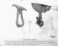 Clitocybe nebularis image